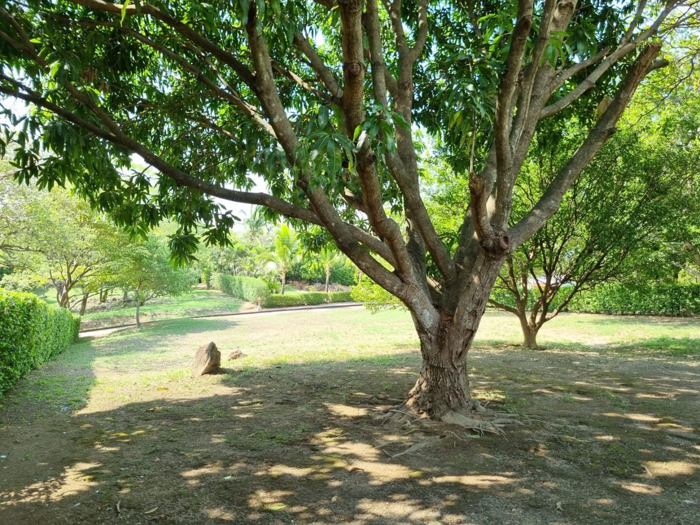 costa rica real estate lot in bagaces, guanacaste